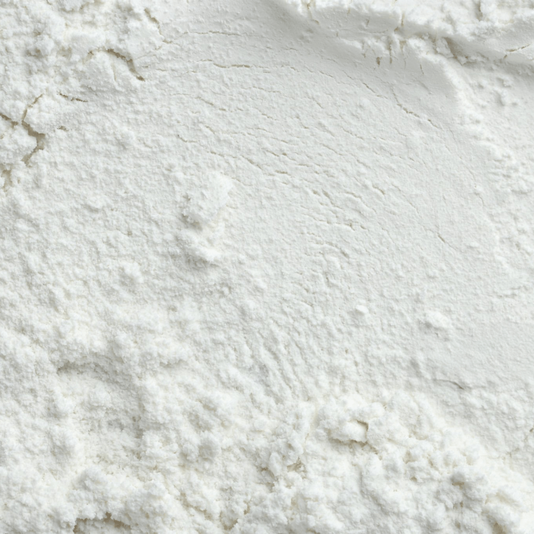 Lactobacillus plantarum