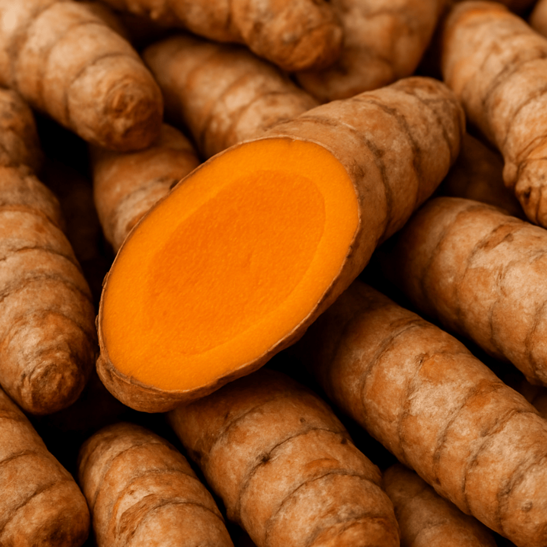 Turmeric Extract