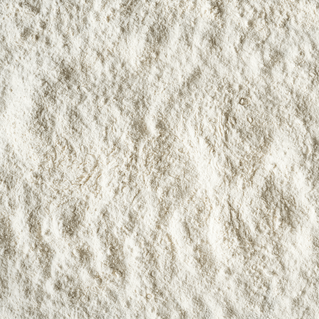 10 Probiotic Strains