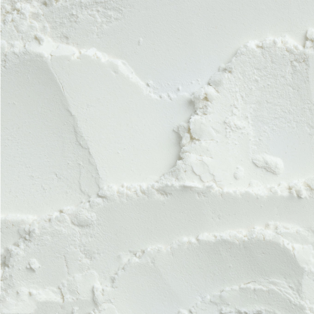 Bifidobacterium animalis