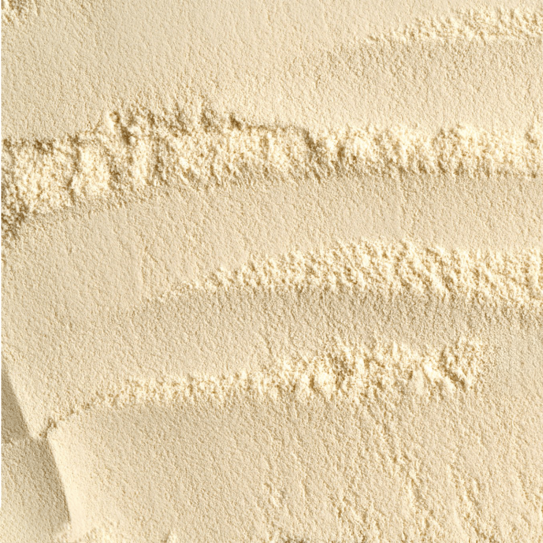 Bifidobacterium bifidum