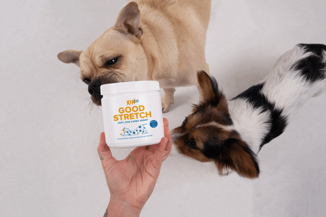 KIN Good Stretch IVDD LP asset
